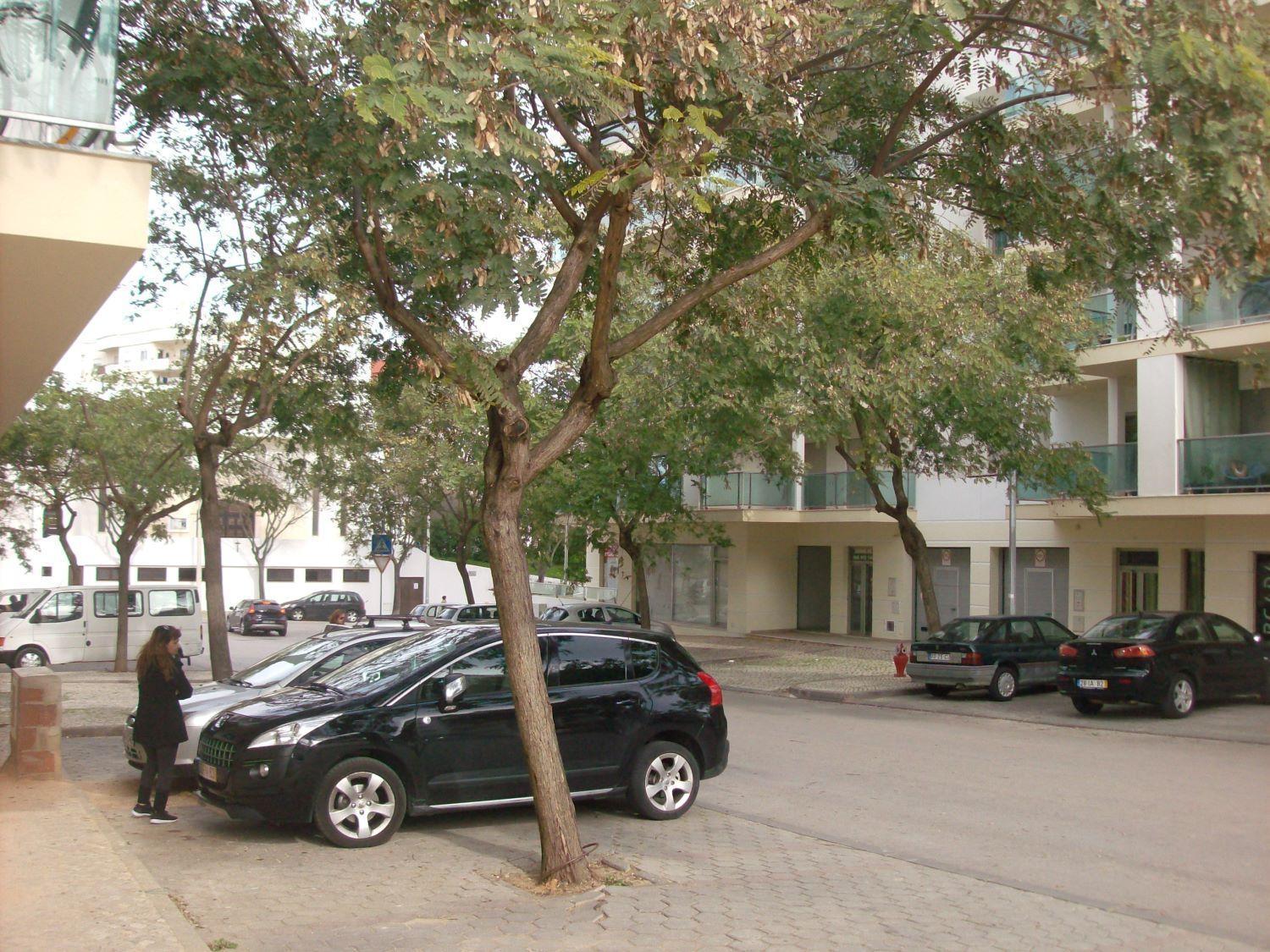 Appartement Pinheiro Portimão Exterior photo